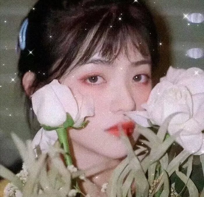 马卡龙少女