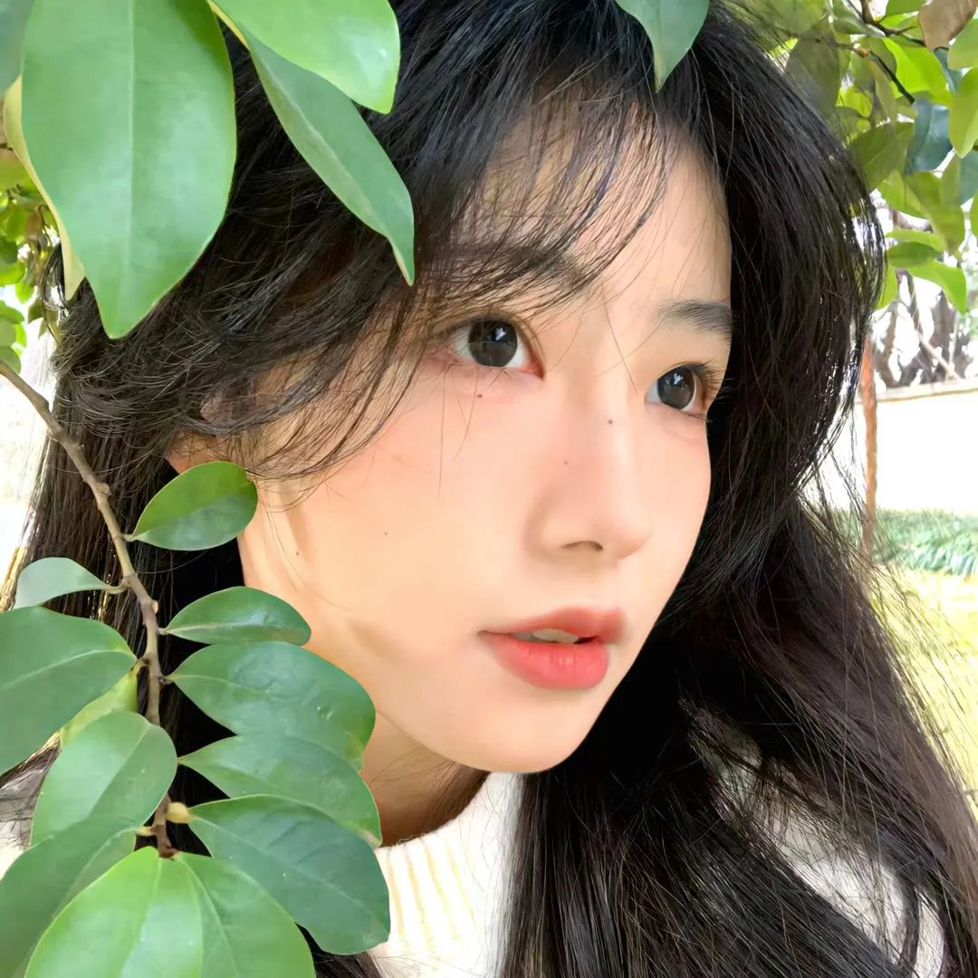 爱之情照